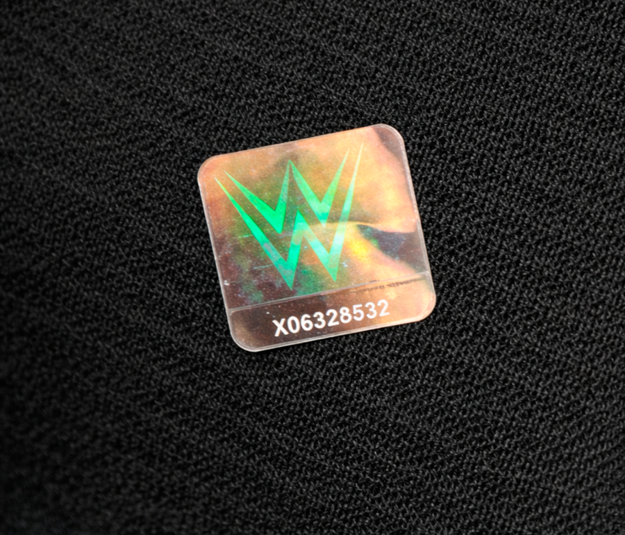 WWE DX (D-Generation X) Graphic Pullover Hoodie size S,L,3XL sku: WXAH4703RC